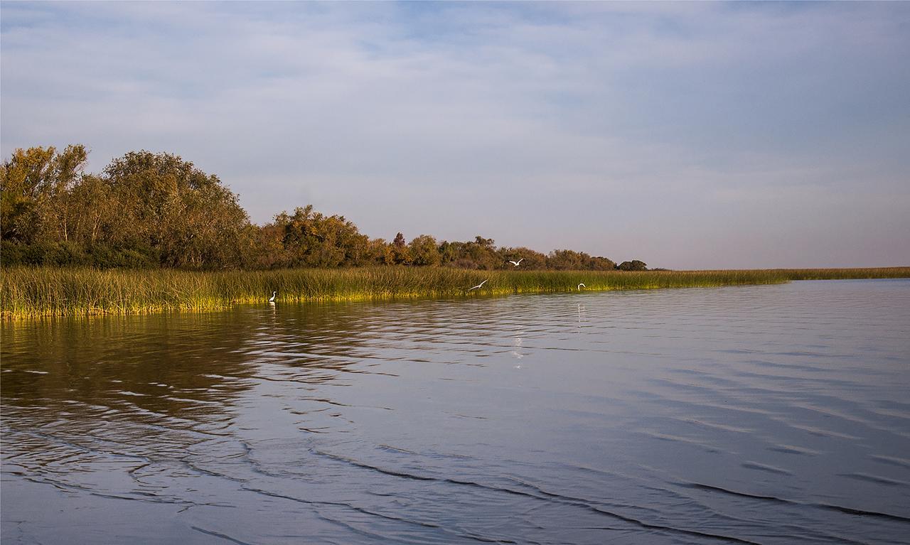 فندق كارميلوفي  Puerto Dijama المظهر الخارجي الصورة